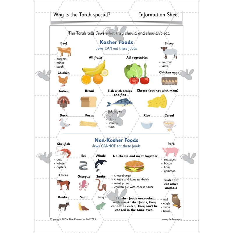 Why is the Torah special?