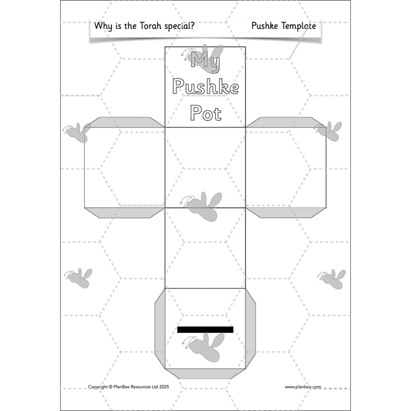 Why is the Torah special?