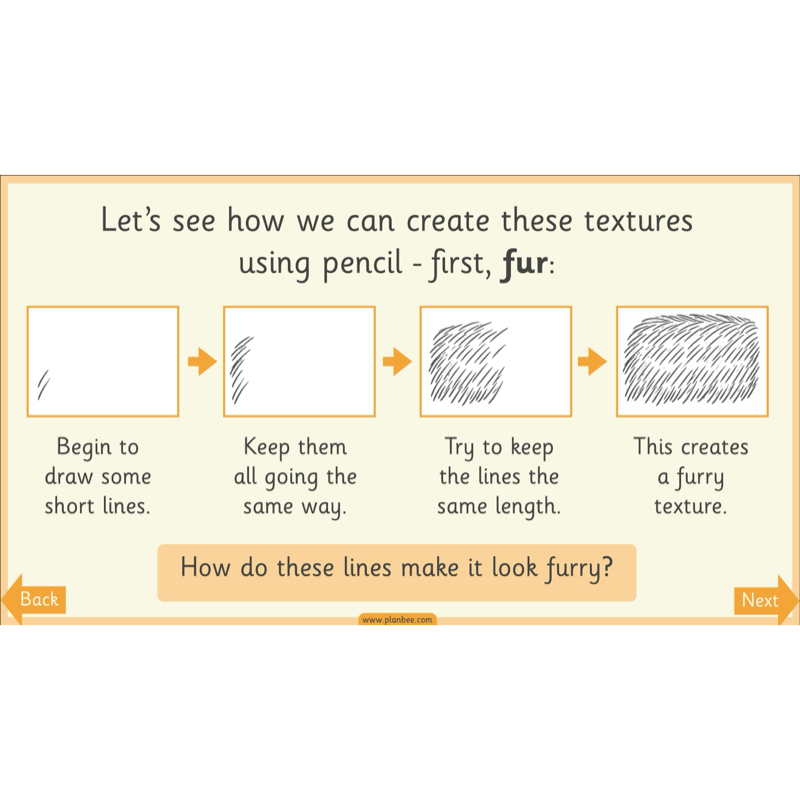 PlanBee Animal Art KS1 | Art Lesson Pack