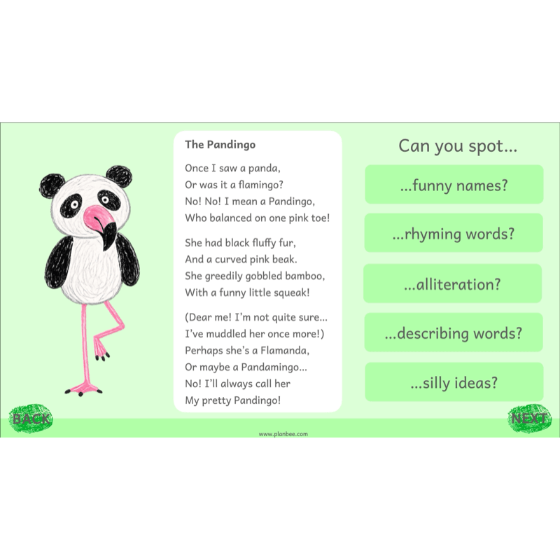 PlanBee Animal Poetry KS1 English Lesson Pack
