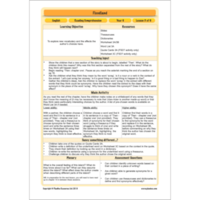 PlanBee Floodland: Reading Comprehension KS2 | Year 6 English Pack