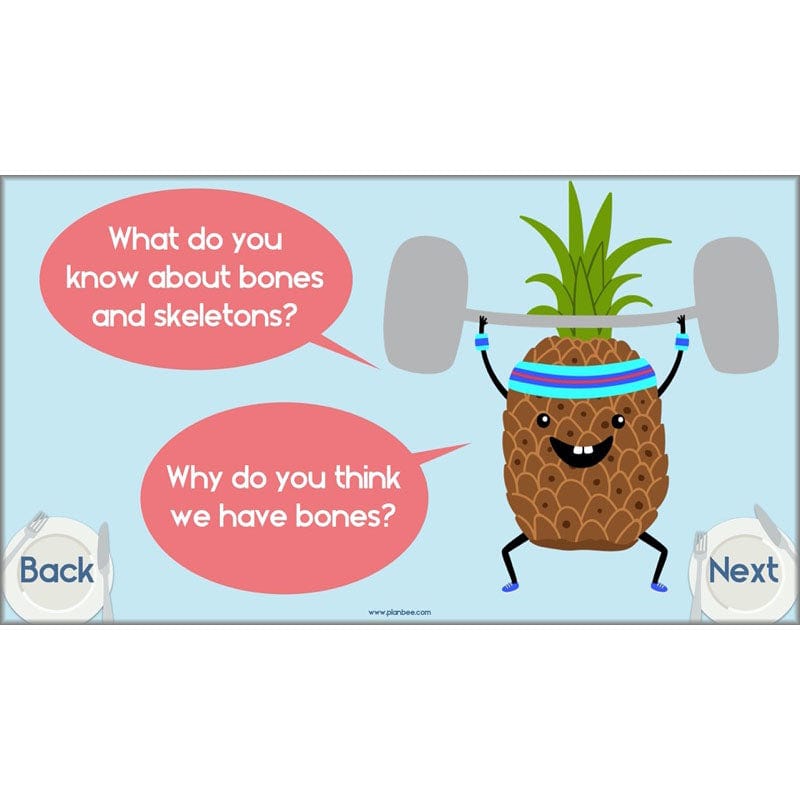 PlanBee Animals Including Humans Year 3 Science Lessons by PlanBee