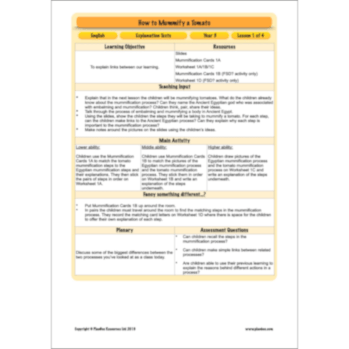 PlanBee Explanation Texts: How to Mummify a Tomato | KS2 English