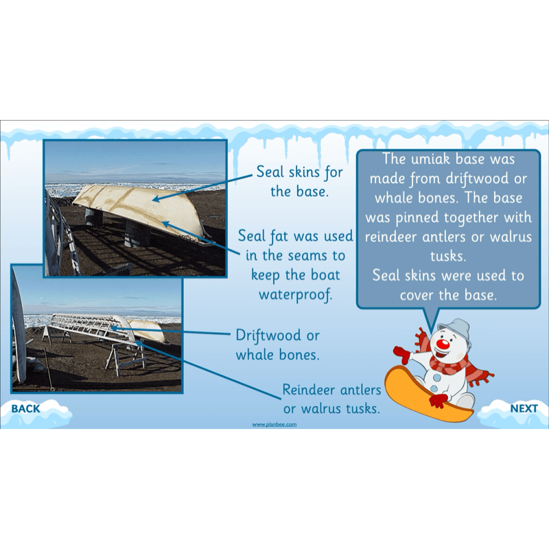 PlanBee In the Arctic Topic KS1 Enrichment Lesson Pack