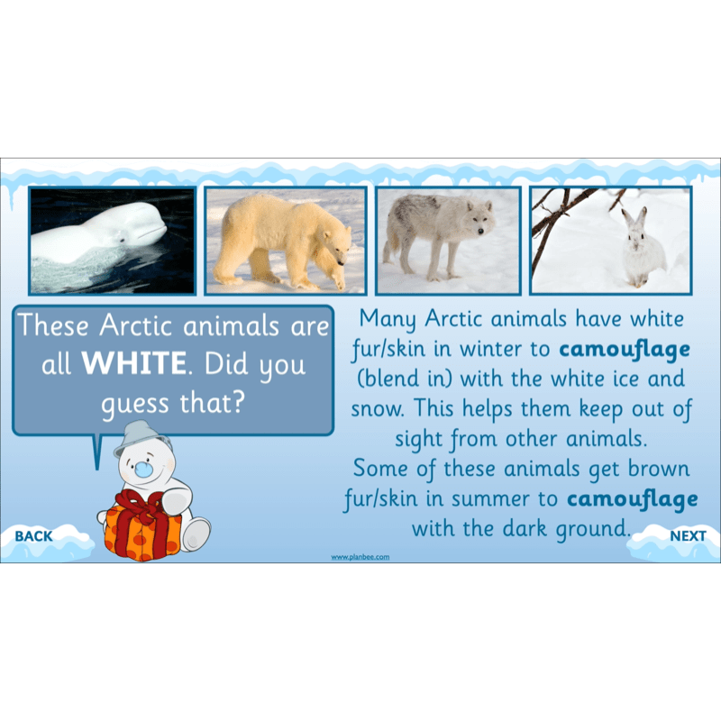PlanBee Let's go to the Arctic KS1 Geography Lessons and Resources