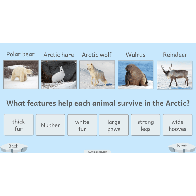 PlanBee Let's go to the Arctic KS1 Geography Lesson Pack