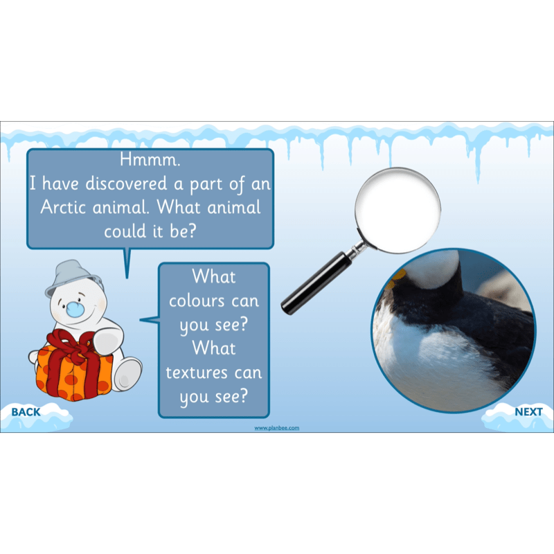 PlanBee Let's go to the Arctic KS1 Geography Lessons and Resources