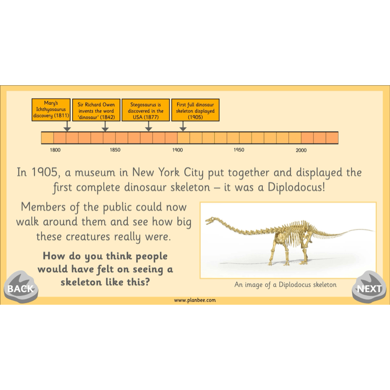 PlanBee Mary Anning KS1 | History Lesson Pack 