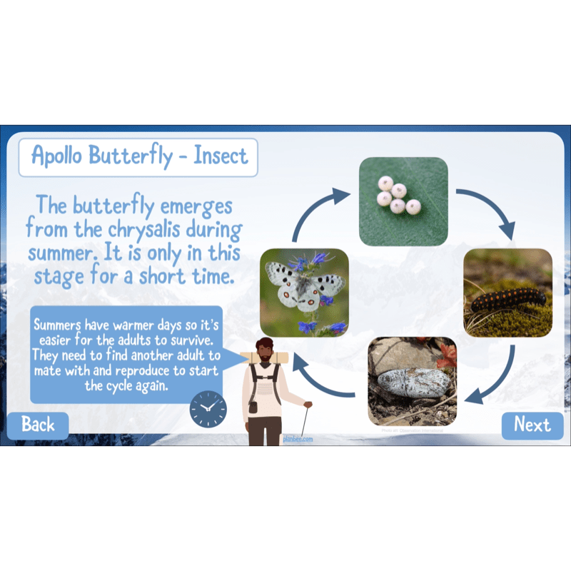 PlanBee Mountain Science KS2 | Food Chains, Adaptation & Life Cycles