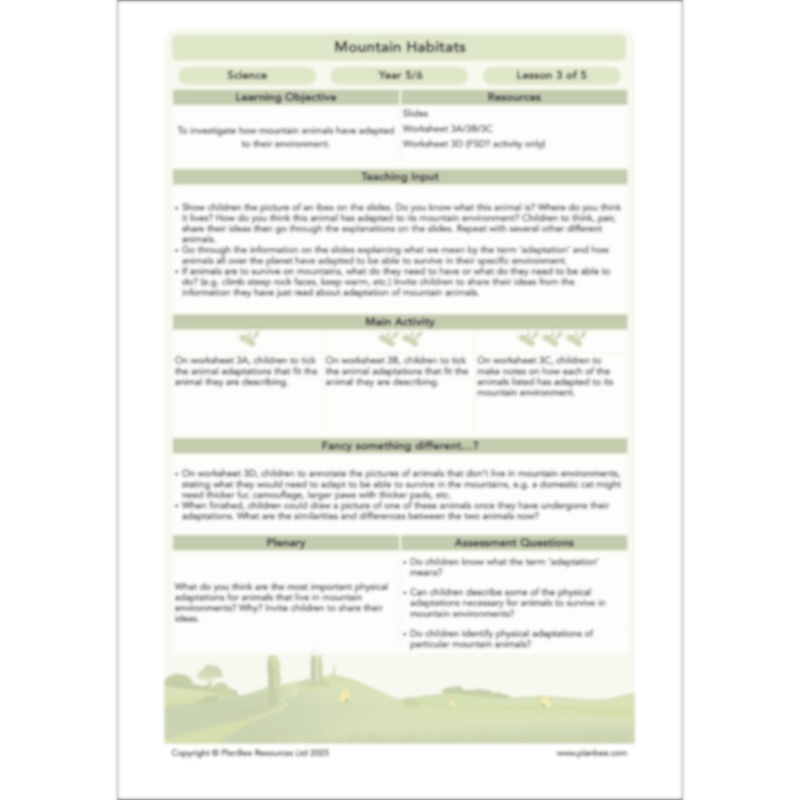PlanBee Mountain Science KS2 | Food Chains, Adaptation & Life Cycles