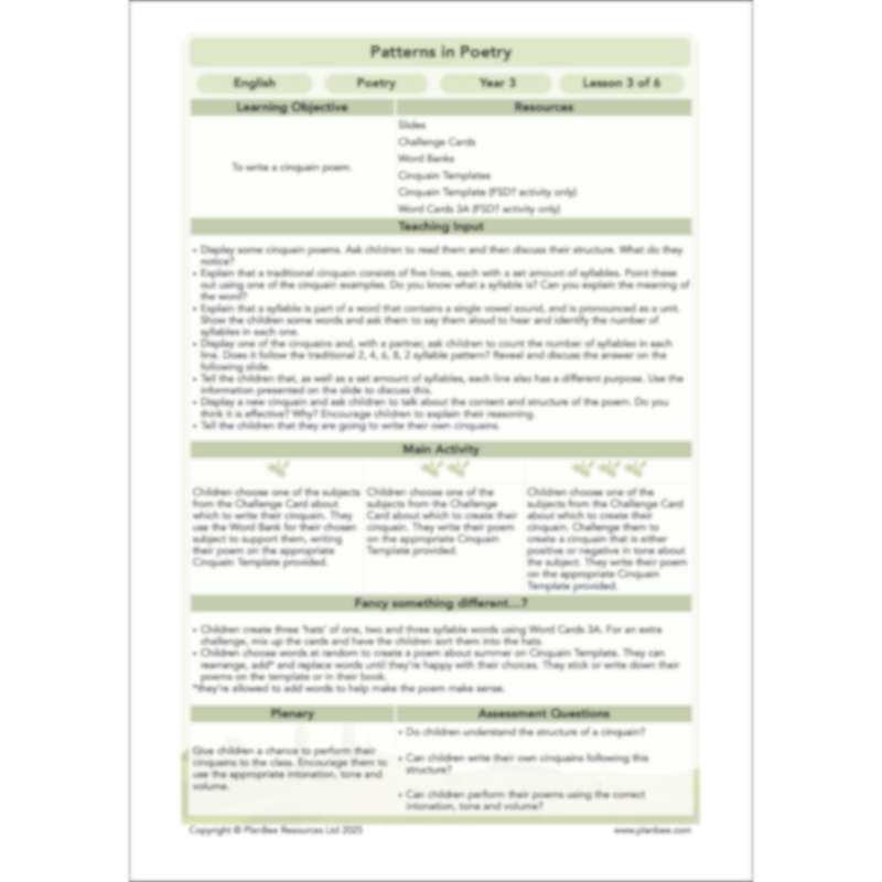 PlanBee Year 3 Patterns in Poetry | Investigating Types of Poems