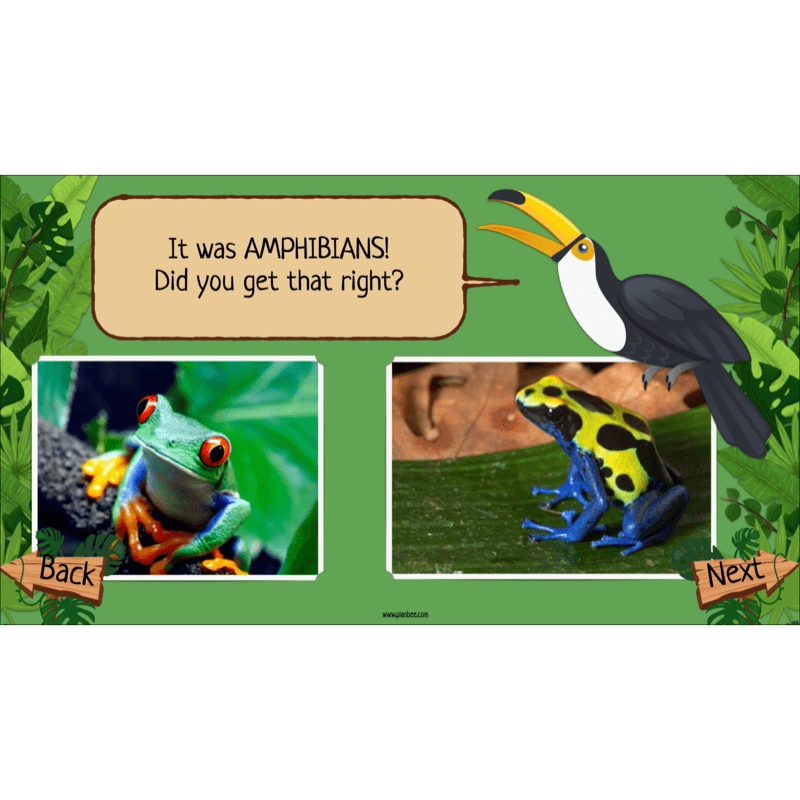 PlanBee Rainforest Habitats KS2 Science Lesson Pack