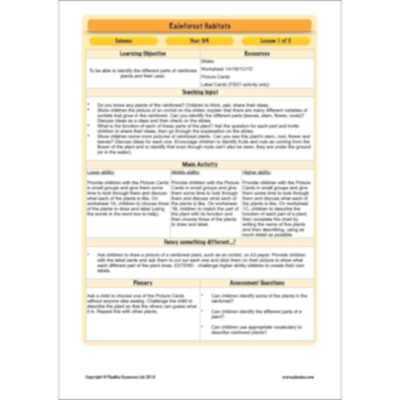PlanBee Rainforest Habitats KS2 Science Lesson Pack