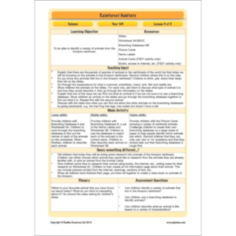 PlanBee Rainforest Habitats KS2 Science Lesson Pack