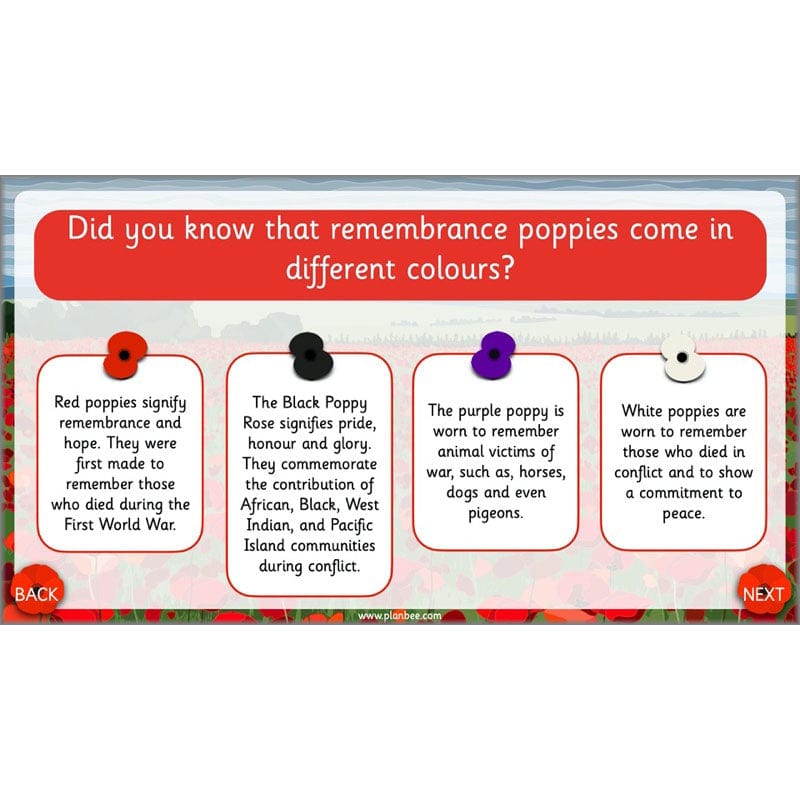 PlanBee KS1 Remembrance Day Lesson | Year 2 History Planning