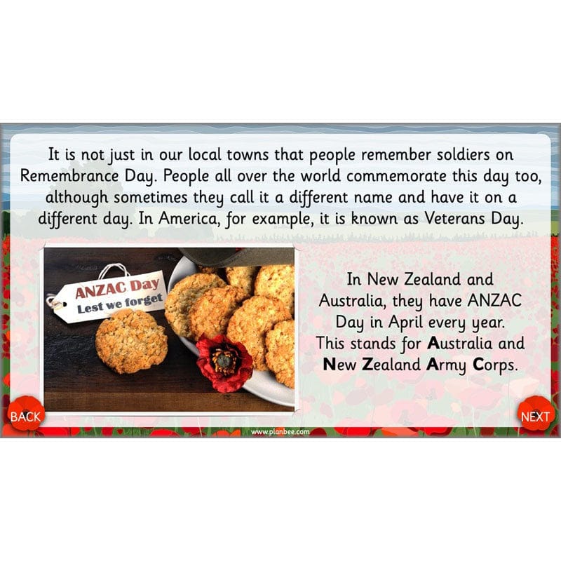 PlanBee KS1 Remembrance Day Lesson | Year 2 History Planning
