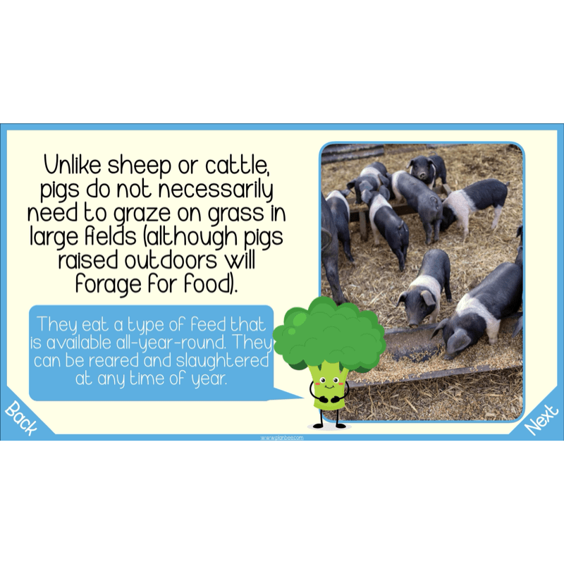 PlanBee Seasonal Food Seasonality KS2 cooking lessons by PlanBee