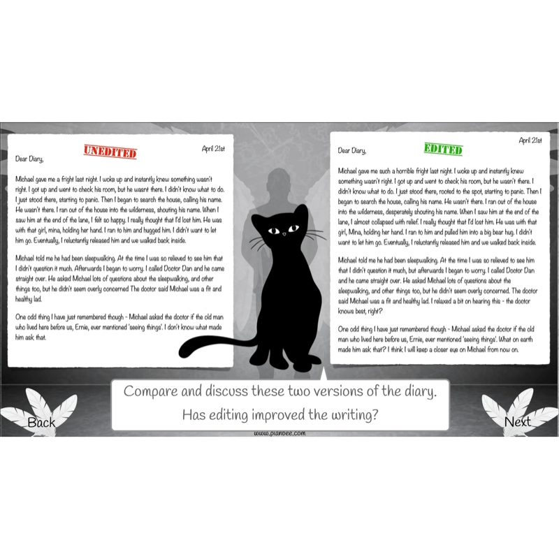 PlanBee Skellig Diary Entries KS2 | Year 6 English Lesson Pack