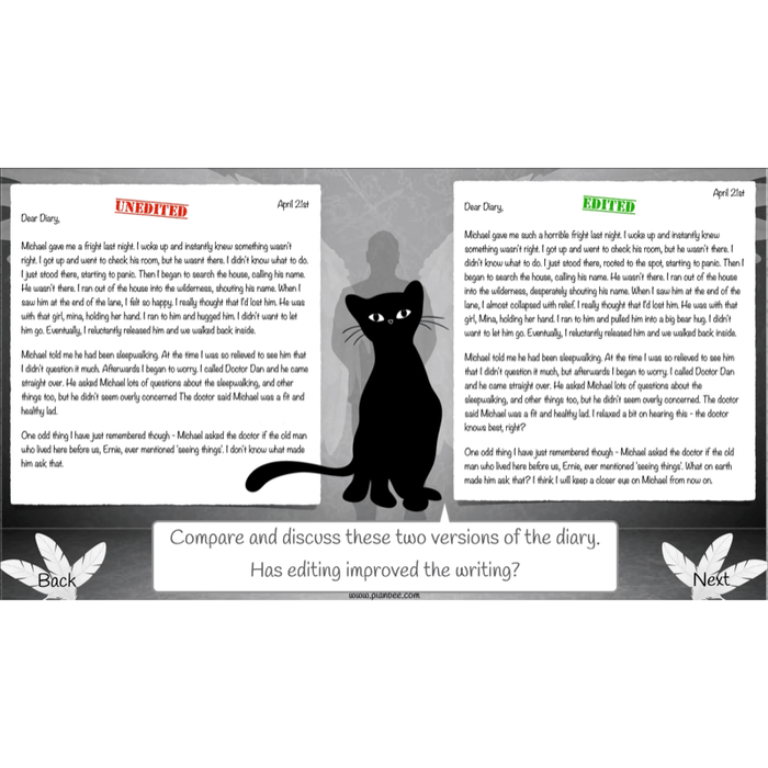PlanBee Skellig Diary Entries KS2 | Year 6 English Lesson Pack