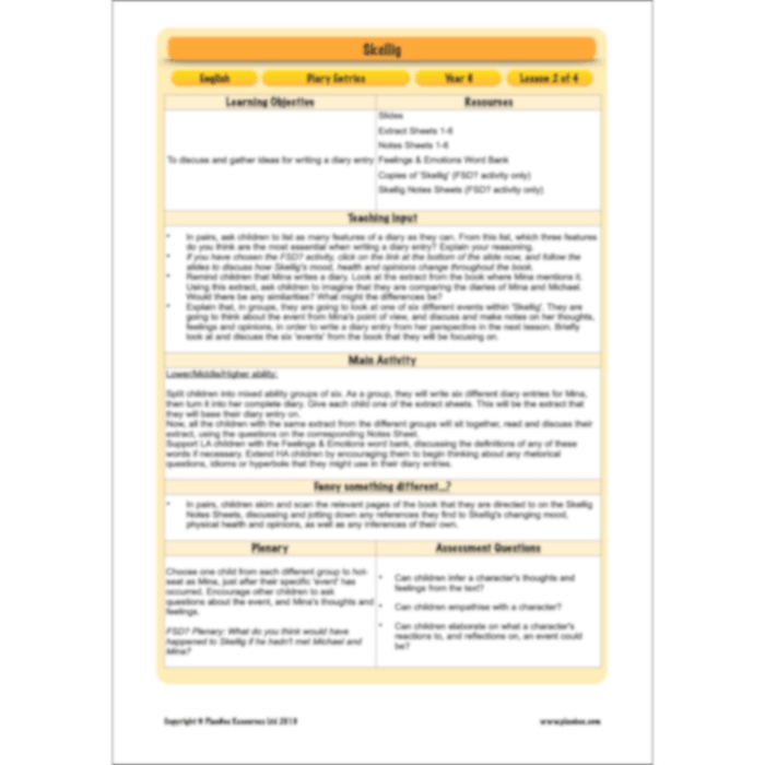 PlanBee Skellig Diary Entries KS2 | Year 6 English Lesson Pack