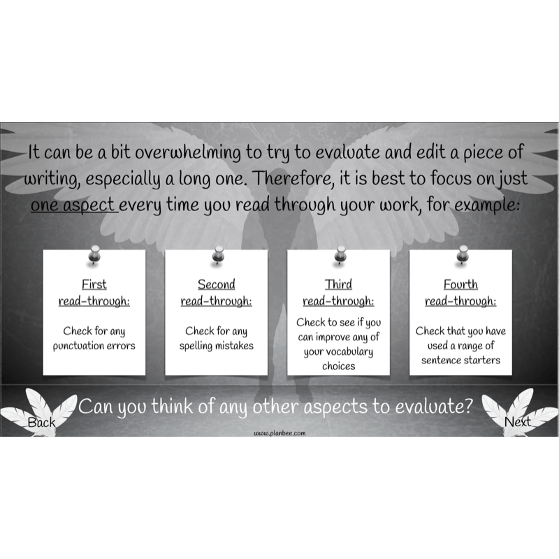 PlanBee Skellig: Narrative