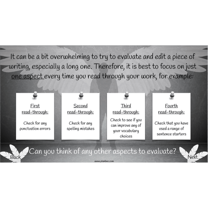 PlanBee Skellig: Narrative