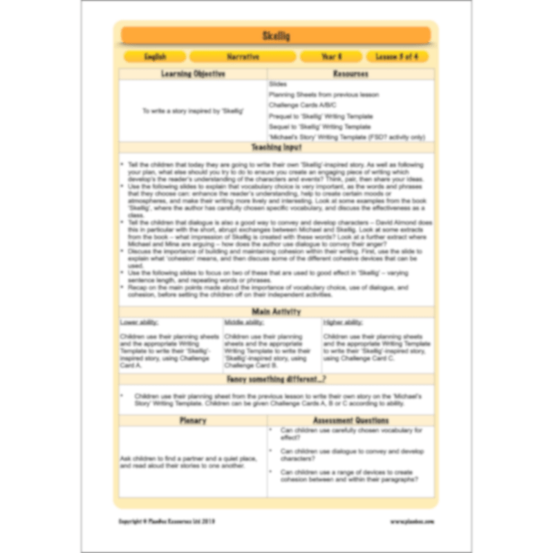 PlanBee Skellig: Narrative