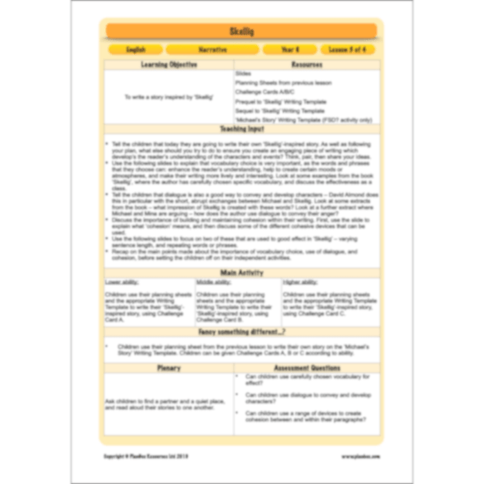 PlanBee Skellig: Narrative