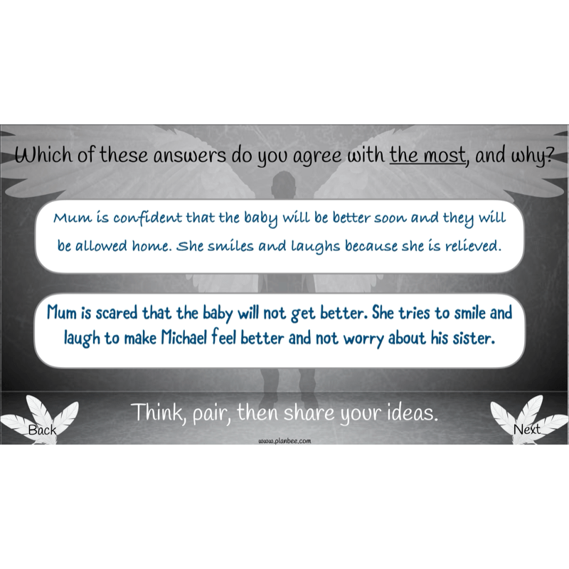 PlanBee Skellig: Reading Comprehension