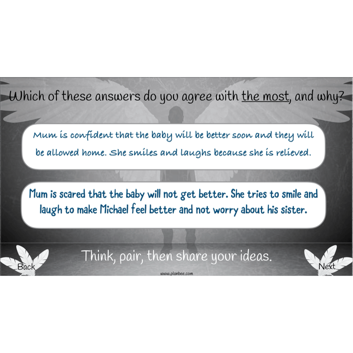 PlanBee Skellig: Reading Comprehension