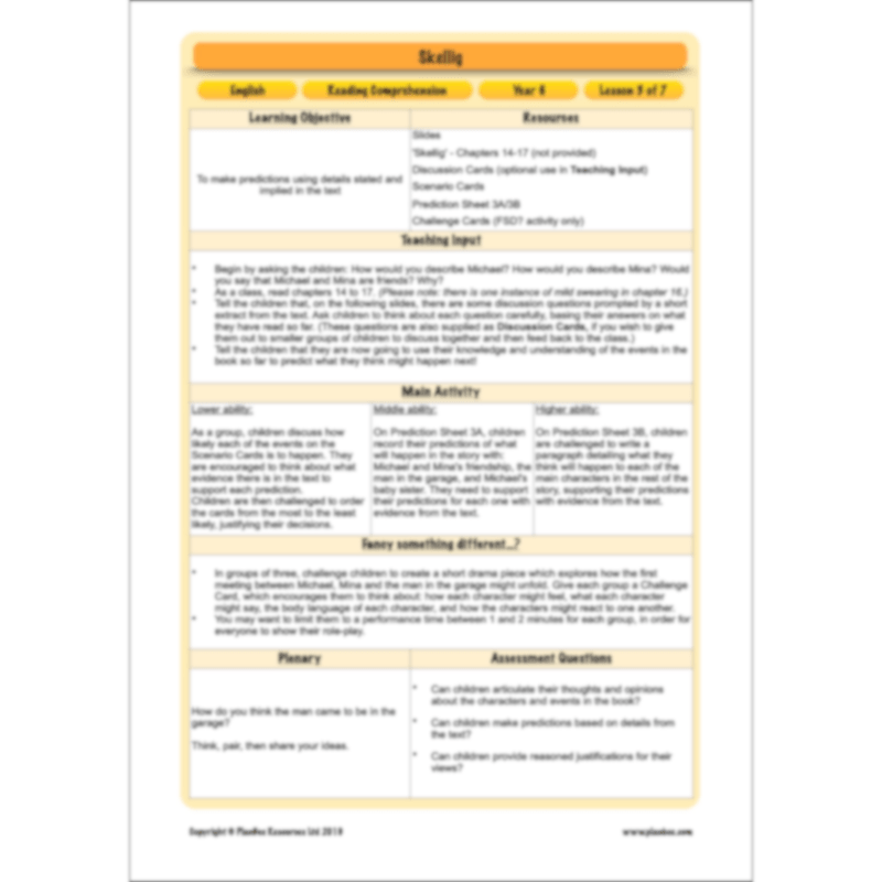 PlanBee Skellig: Reading Comprehension