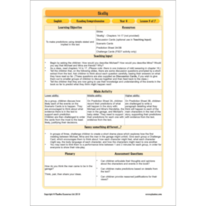 PlanBee Skellig: Reading Comprehension