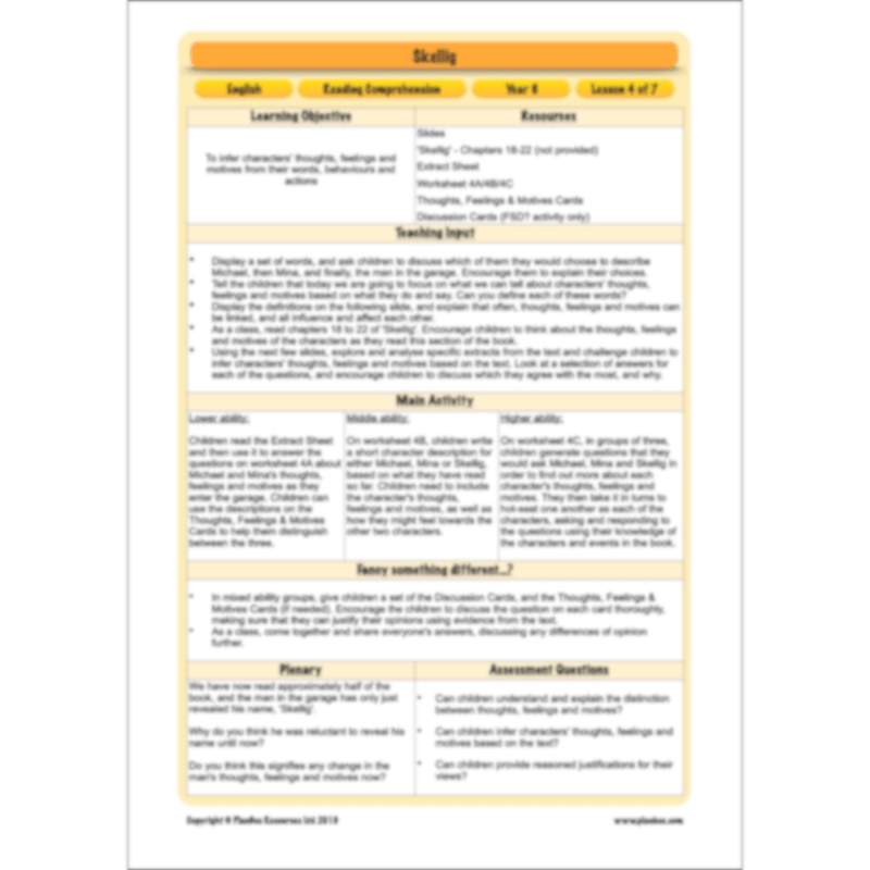 Skellig: Reading Comprehension