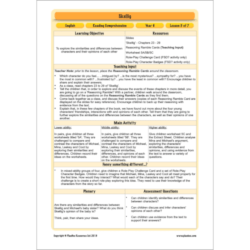 Skellig: Reading Comprehension