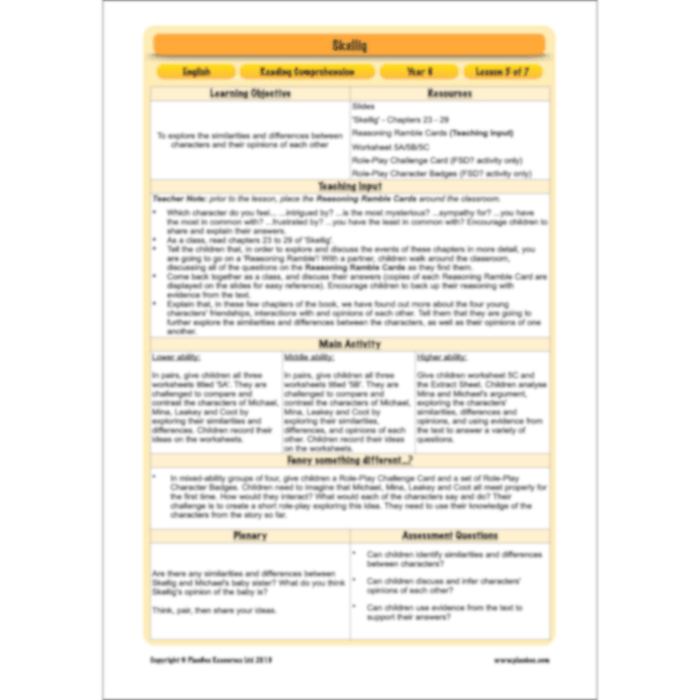 Skellig: Reading Comprehension