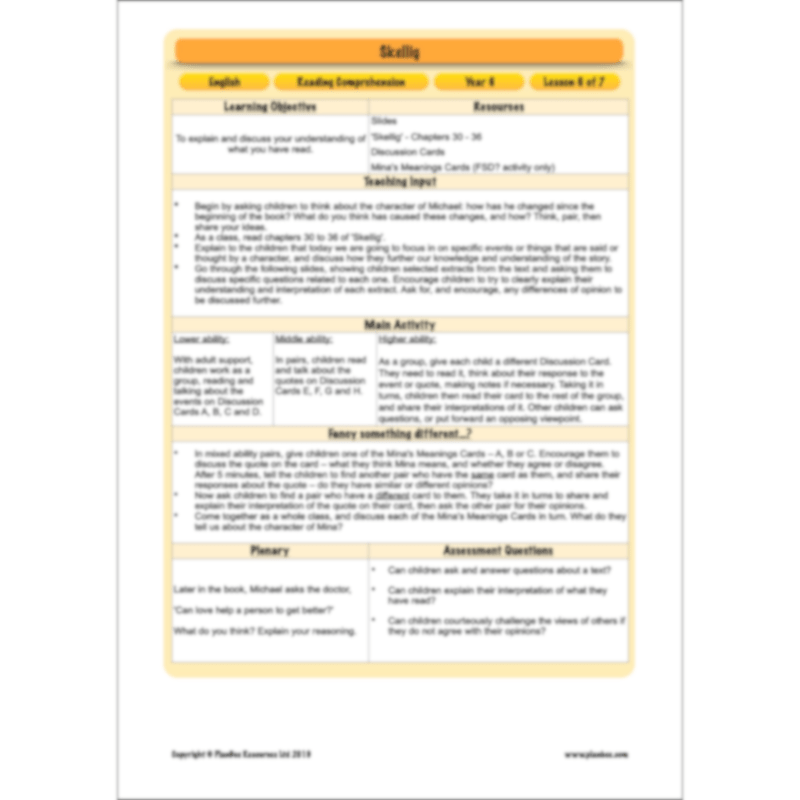 Skellig: Reading Comprehension