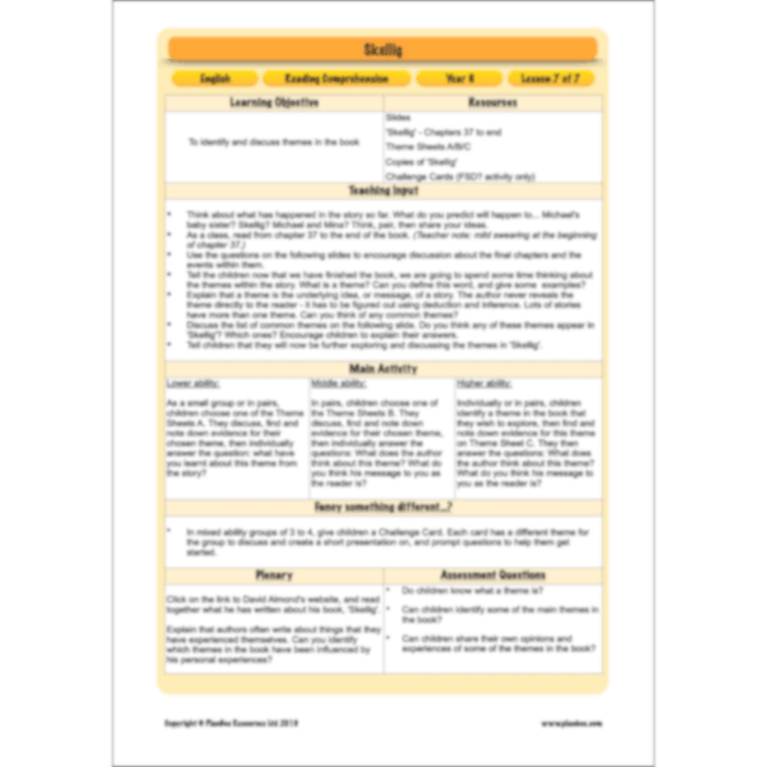 Skellig: Reading Comprehension