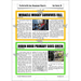 PlanBee The Butterfly Lion: Newspaper Reports KS2 English Pack