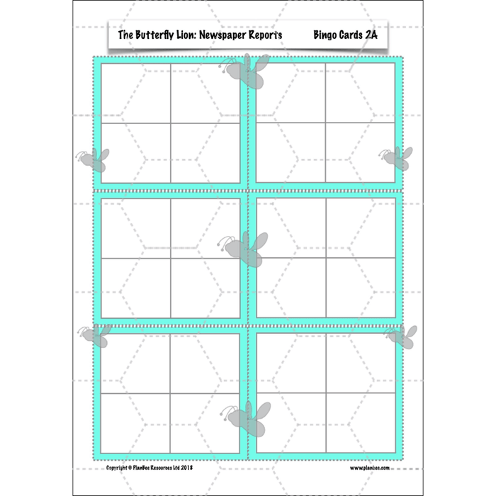 PlanBee The Butterfly Lion: Newspaper Reports KS2 English Pack