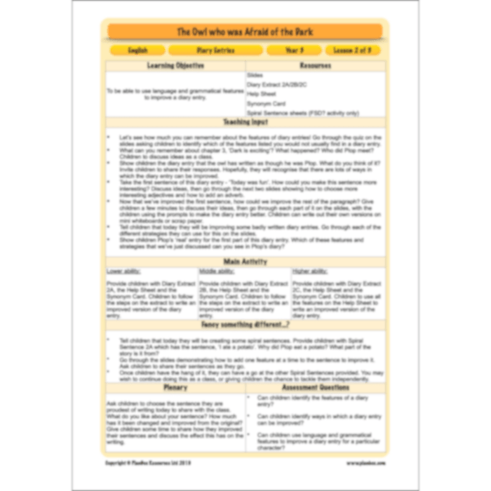 PlanBee FREE | The Owl who was Afraid of the Dark | Diaries KS2