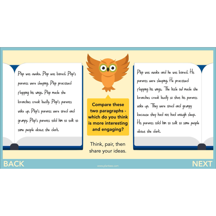 PlanBee The Owl who was Afraid of the Dark | KS2 Narrative Lessons