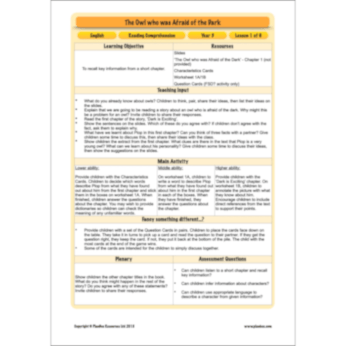 PlanBee The Owl who was Afraid of the Dark | KS2 Comprehension