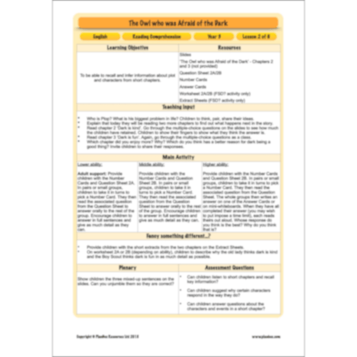 PlanBee The Owl who was Afraid of the Dark | KS2 Comprehension