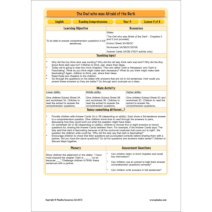 PlanBee The Owl who was Afraid of the Dark | KS2 Comprehension