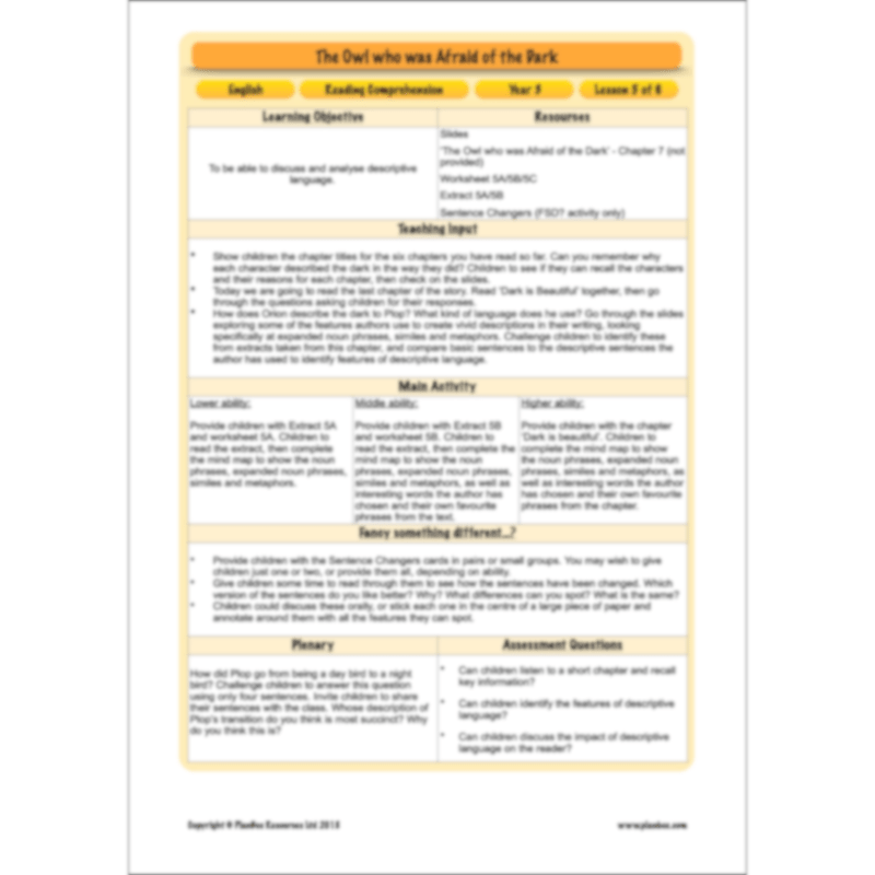 The Owl who was Afraid of the Dark: Reading Comprehension