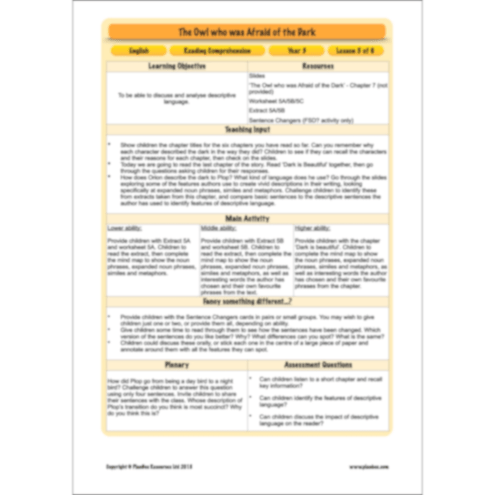 The Owl who was Afraid of the Dark: Reading Comprehension