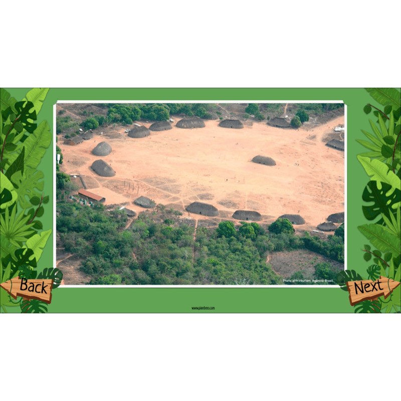 PlanBee The Rainforest Biome KS2 | Geography Lesson Pack