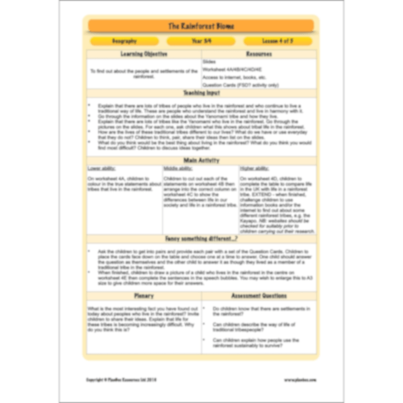 The Rainforest Biome