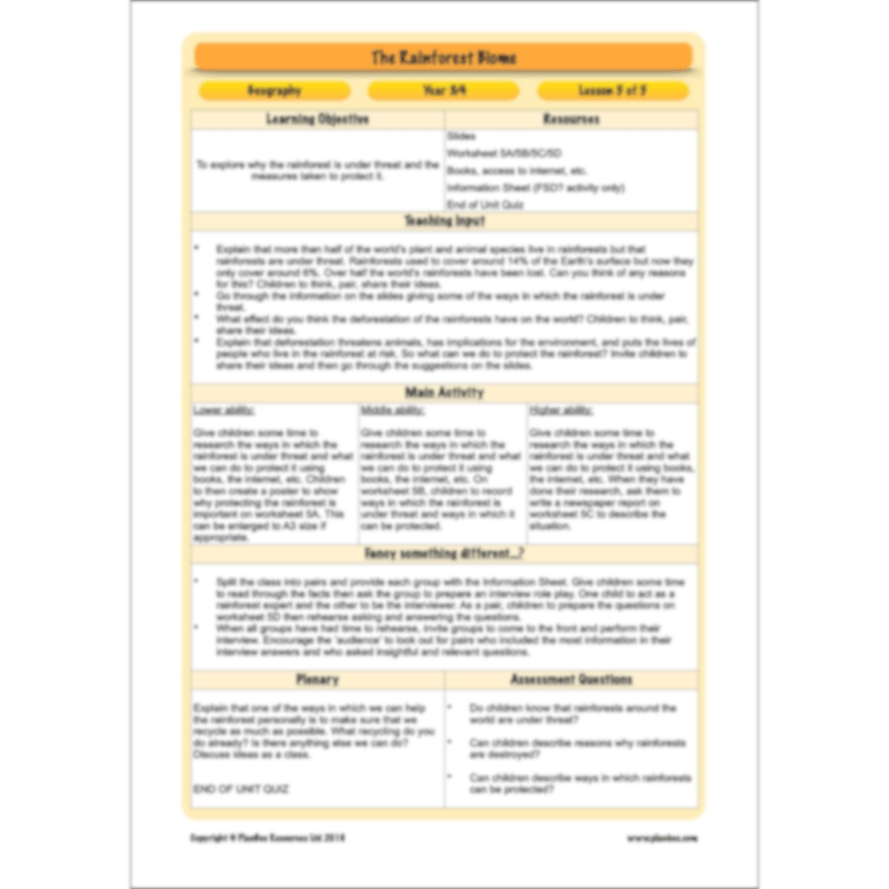 The Rainforest Biome