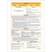 PlanBee The Twits: Non-chronological Reports KS2 | Y4 English Pack
